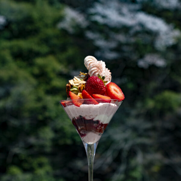 NOW 2026.4.10　〈ストロベリーパーティ〉